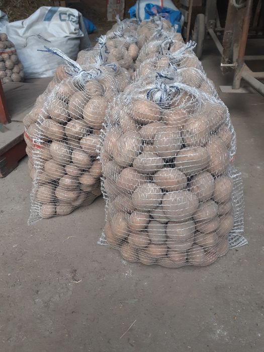 Sprzedam ziemniaki Irga