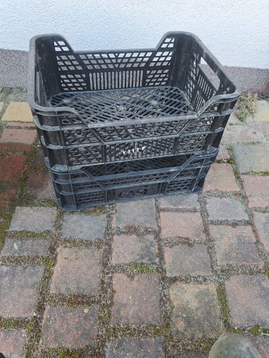 Skrzynki plastikowe na owoce 5 kg