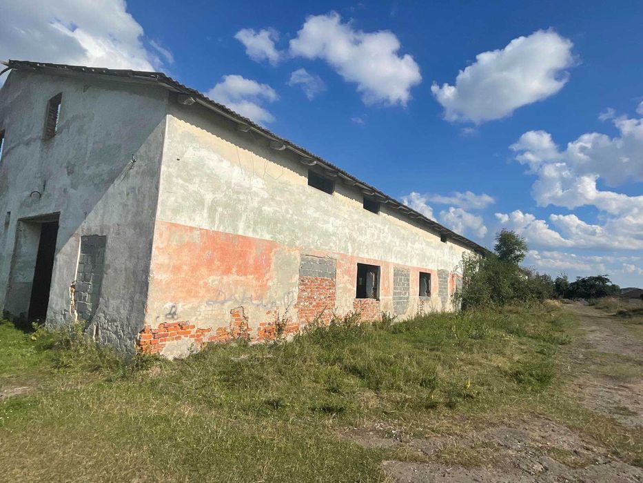 господарський двір (ферма) 3 гектара, 1700 м2 площа 2 будівель, продаж