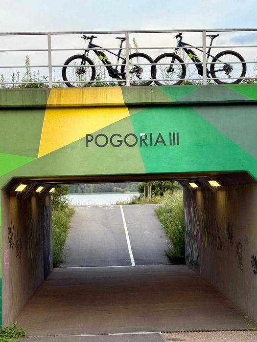 Rower elektryczny WYNAJEM Pogoria, YAMAHA, RAYMON, Dowóz Gratis!