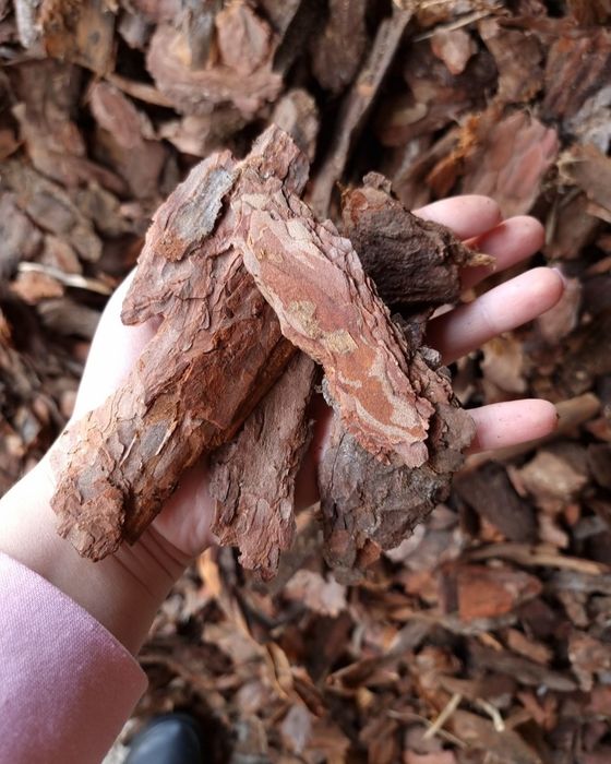 Kora sosnowa gruba,  Średnia, drobna, ręcznie sortowana