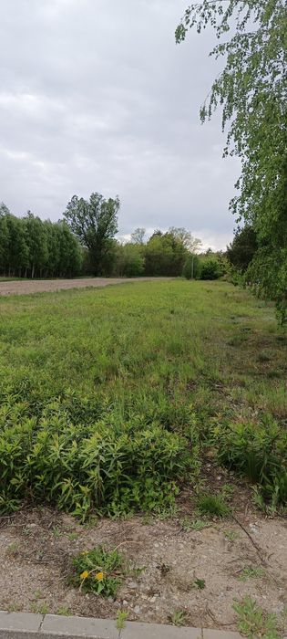 DZIAŁKA 2700 m² |  MPZP | Rżyska
