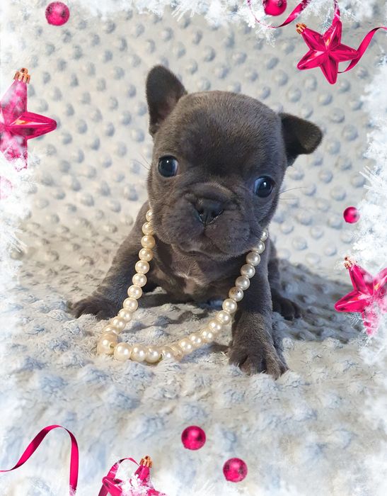 Блакитна мiнi дiвчинка