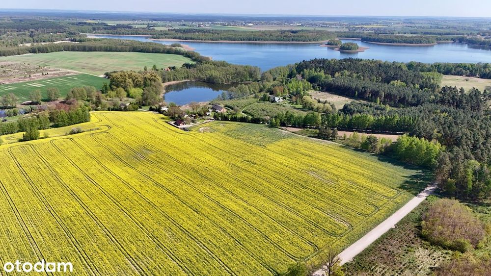 DZIAŁKA Budowlana Nad Jeziorem Stelchno - Widok 5