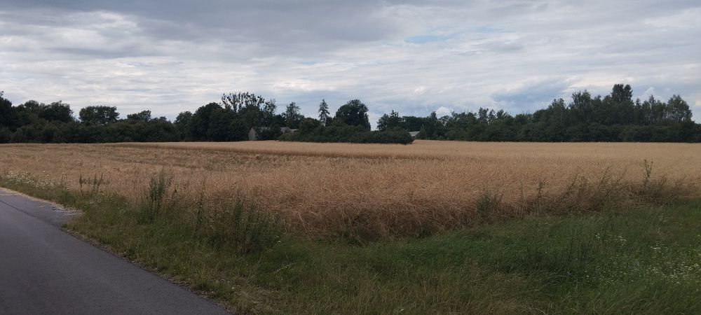 Sprzedam dom gospodarstwo rolne 5ha z budynkami - Więcej