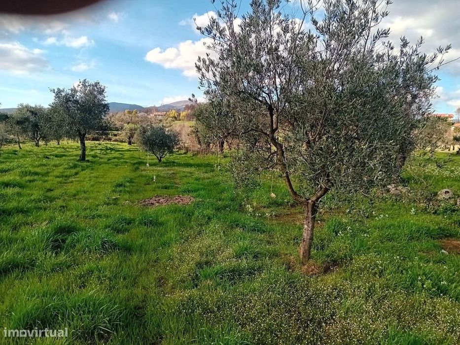 Terreno de 1040m2 junto à Praia Fluvial