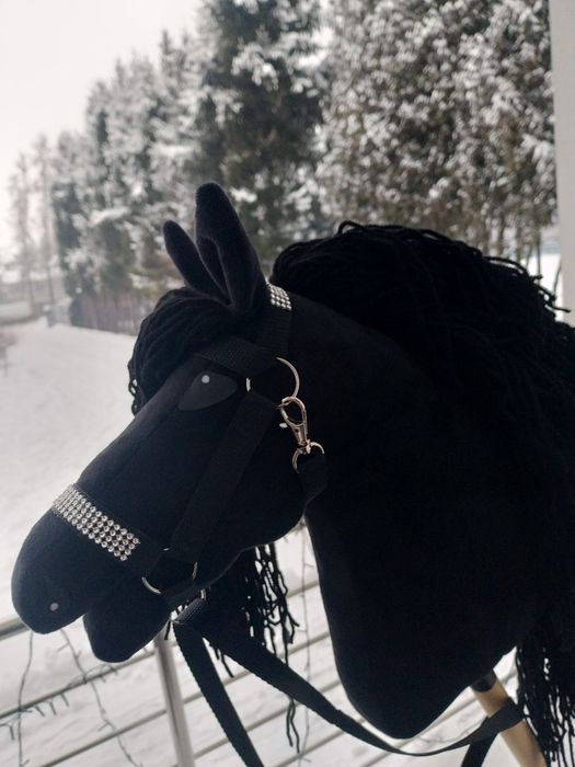 Hobby Horse-koń na kiju