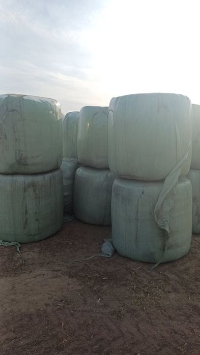 Sprzedam sianokiszonke w belach