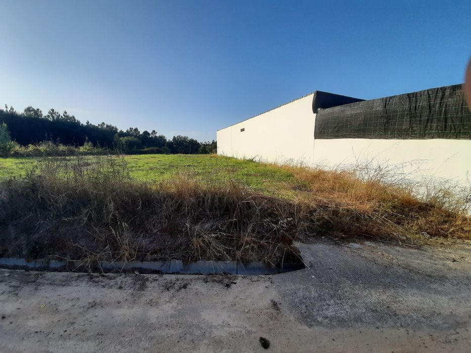 Terreno construção Condeixa-a-Nova, Belide 2500m²