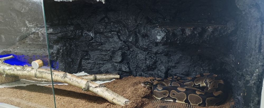 Terrarium  podwójne 150x80x48