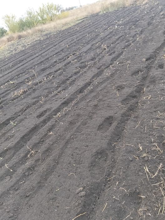 Вспашка огорода  , фреза