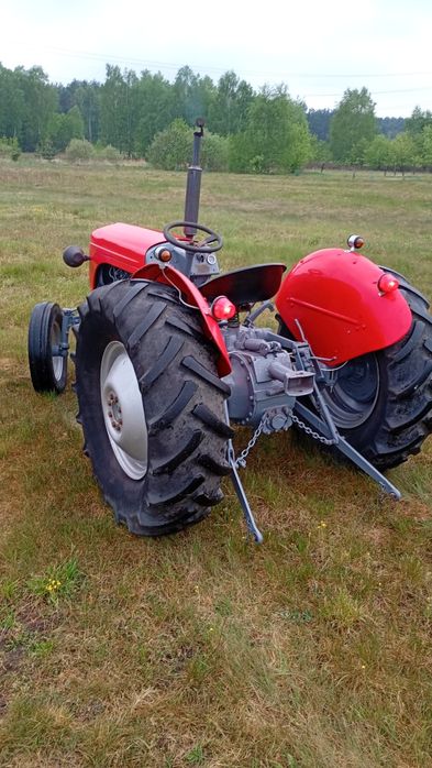Massey Ferguson tea 30