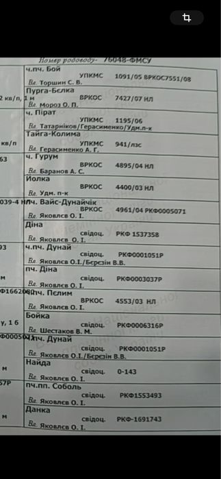 Кобель на вязку Міг