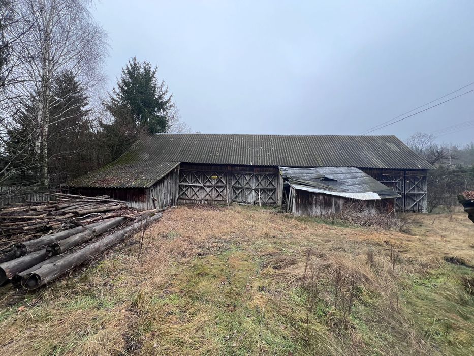 Siedlisko 4300 m2 w Okolicy Lipki Nowe Gmina Stoczek