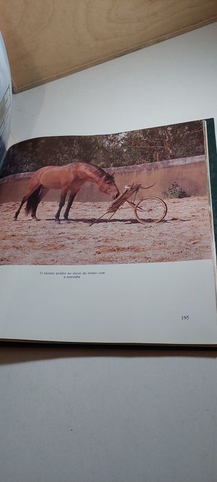 Cavalo Lusitano, O Filho do Vento - Arsénio Raposo Cordeiro (Edições INAPA)