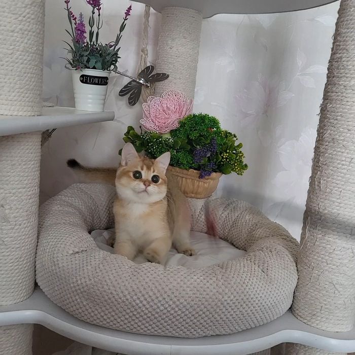 Очень целовательная девочка!