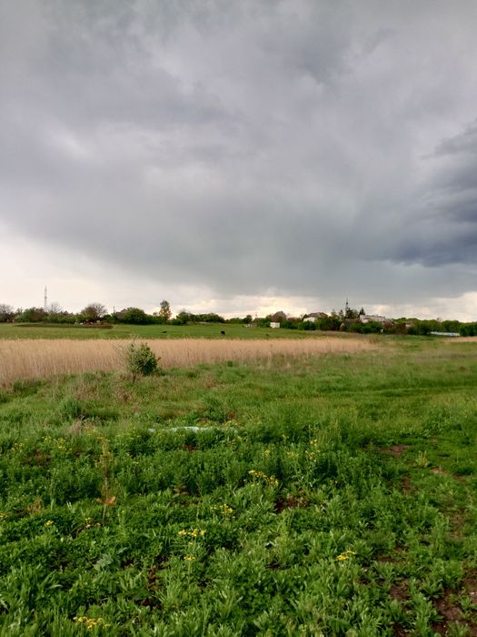 Продам земельна ділянка новопетрівка (соколівське)
