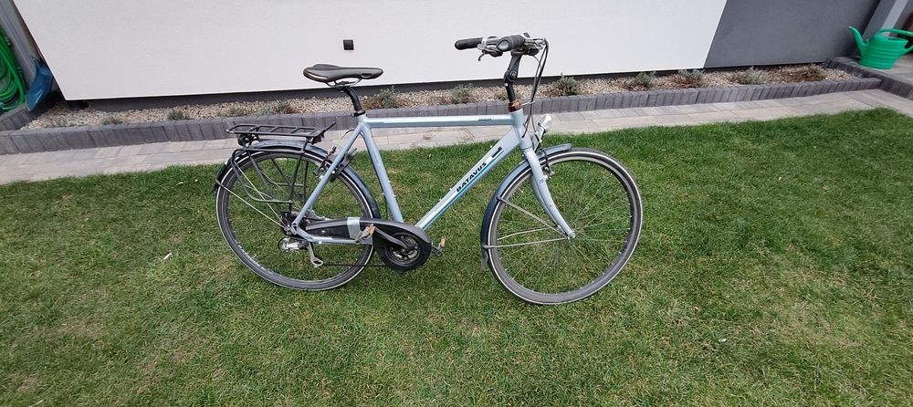 Rower Batavus Schimano