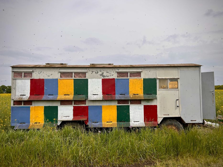 Sprzedam pasiekę - Wóz pszczelarski wraz z ulami i rodzinami