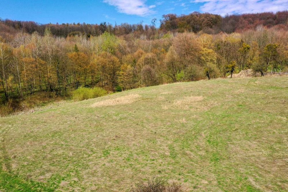 ПРОДАЖ ЗЕМЕЛЬНОЇ ДІЛЯНКИ 2 ГА /Бібрка / Стоки / Стрілки/ Львівська обл