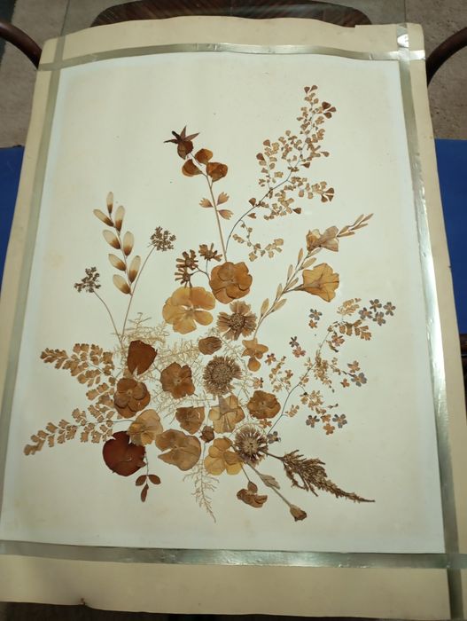 Arte floral Oshibana64862648590979120