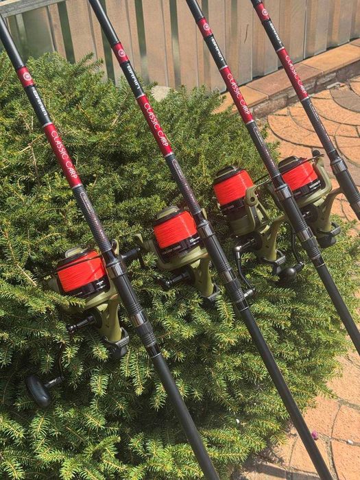 Карповый набор Brain Carp Classic 3-3,3-3,6-3,9-4,2 + Magnum Carp10000