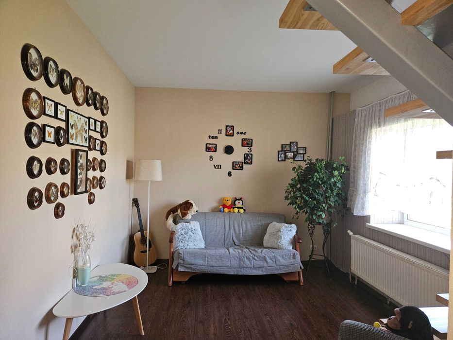 Продаж  будинку і готового бізнесу з ділянкою на 100 соток,