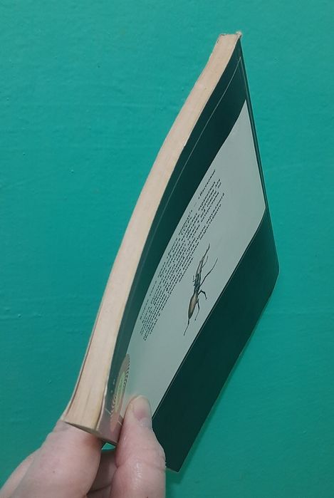 Птицы Красной Книги СССР. Книга. Альманах.