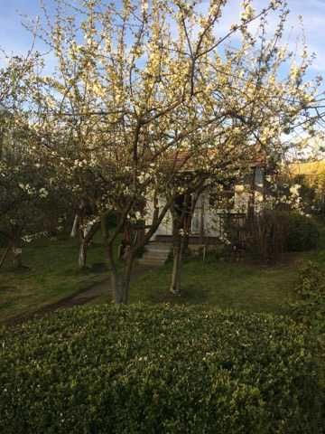 Działa z domkiem ROD Gdańsk Morena ul Myśliwska