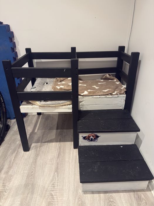 Pietrowe łóżko dla psa