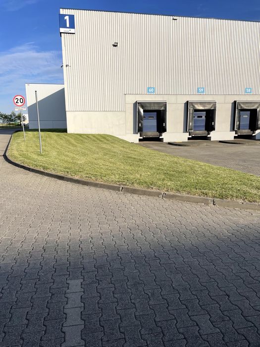 Koszenie trawy, wycinka drzew, oczyszczanie terenu, wykopy, zamiatarka