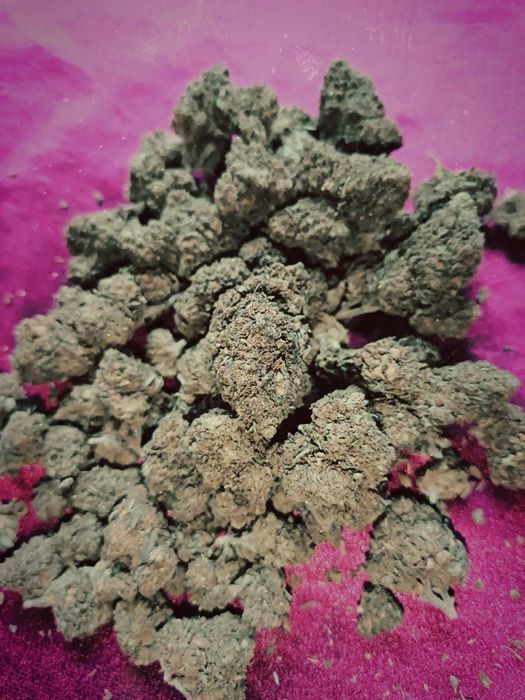 10 gram suszu CBD AK-47