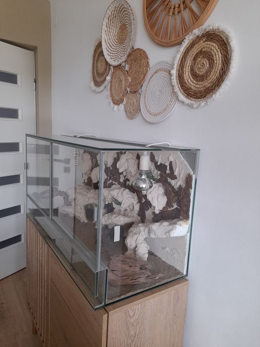Terrarium 100*40*50