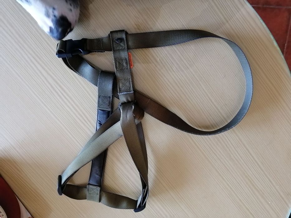 arnés para cão de médio a grande porte