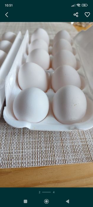 Swojskie wiejskie jajka