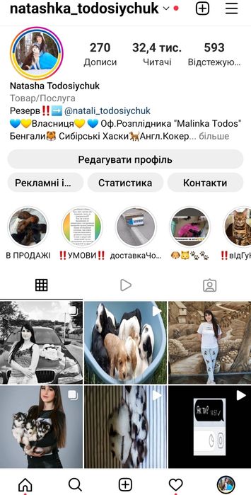 Перша дівчинка з Виводка. Яскрава, Клубна