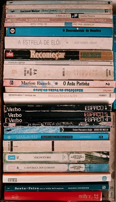 Lote  de  Diversos  LIVROS  Usados ( 3 ) velharias