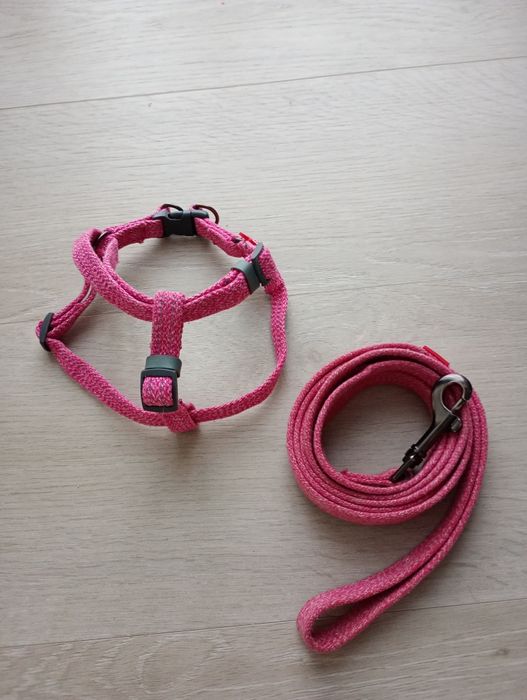 Повідок і шлея для собак