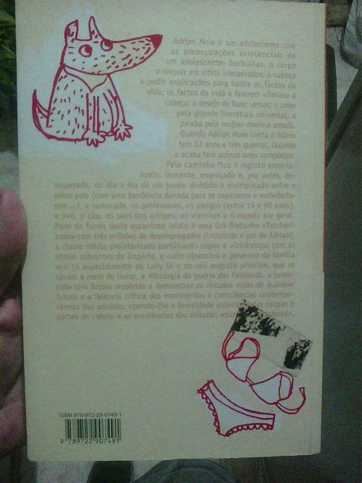 o diário secreto de adrian mole livro portes grátis
