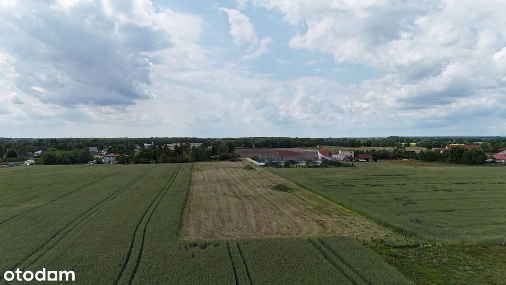 Działka od 8 do 10ar Deszczno Uzbrojone Woda Kanalizacja Prąd Światłow - Widok 3