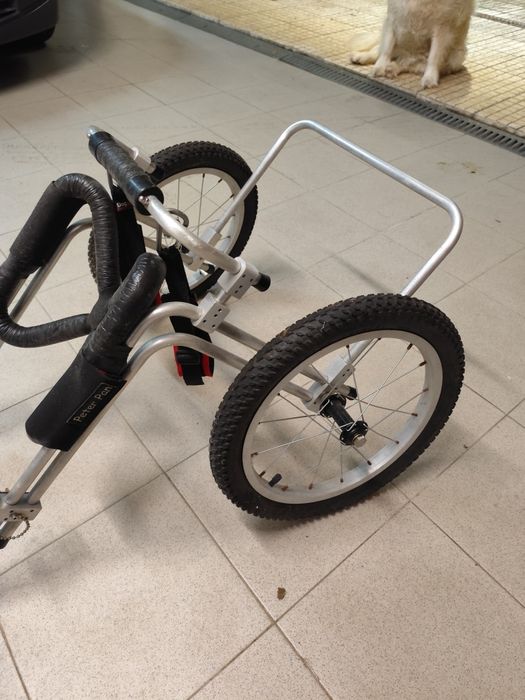 Cadeira de rodas para Pastor Alemão