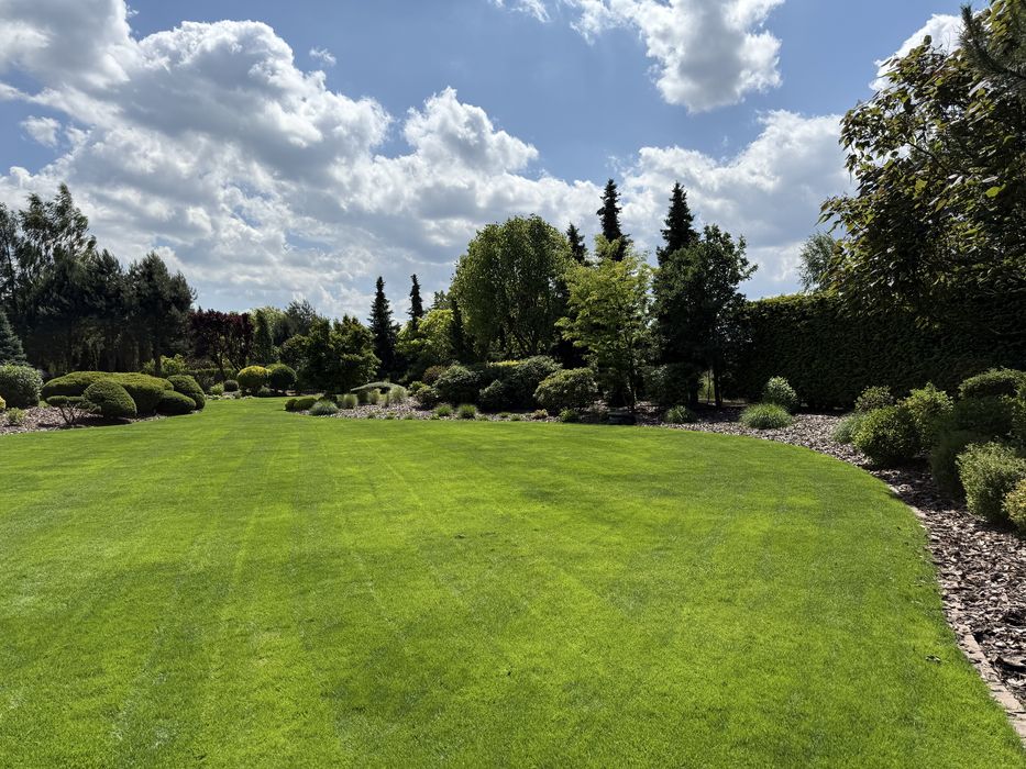 Regeneracja, wertykulacja trawników, prace pielęgnacyjne w ogrodzie.