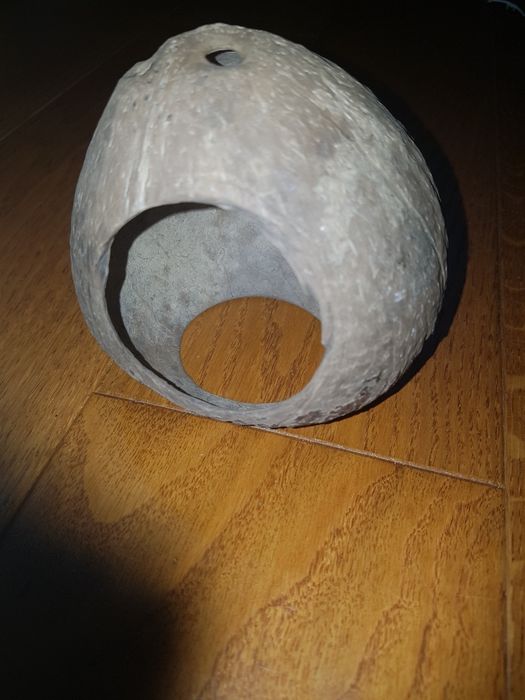 Kokos do akwarium