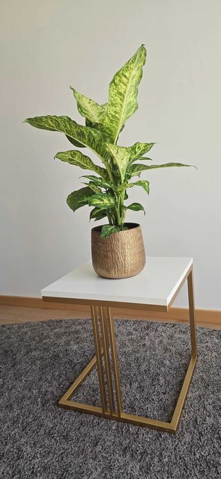 Mesa de apoio branca