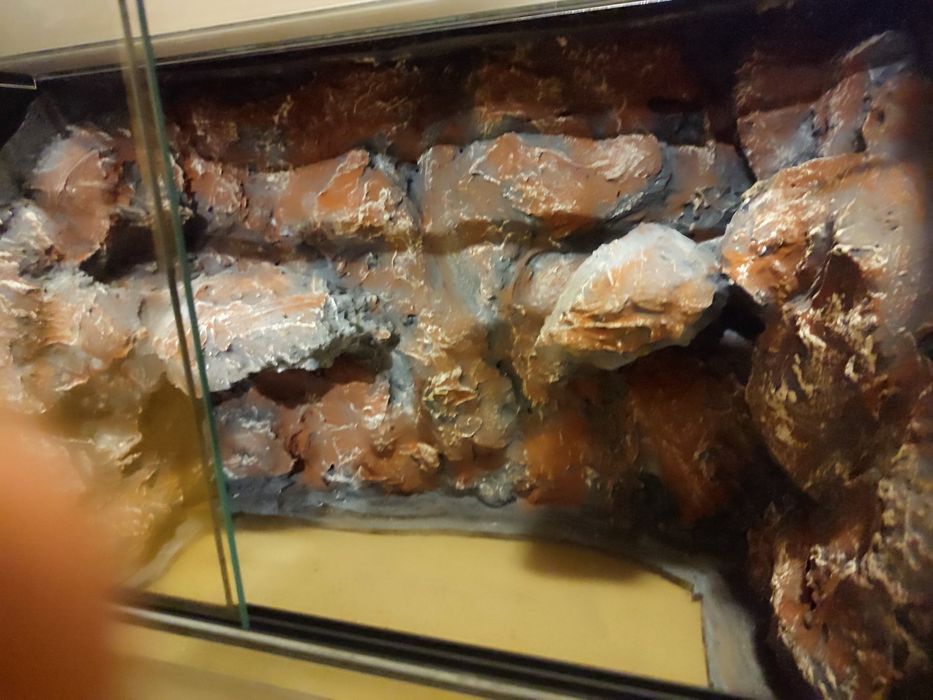 Terarium 60x40x40 dla gekona