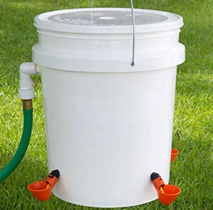 Bebedouros automáticos para aves