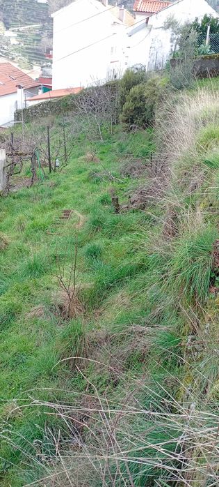 Terreno Urbano em Manteigas