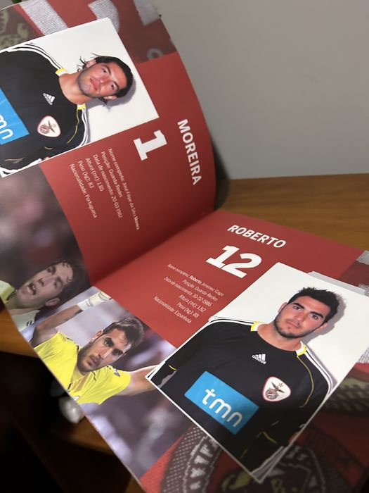 Caderneta sl benfica 2010/2011