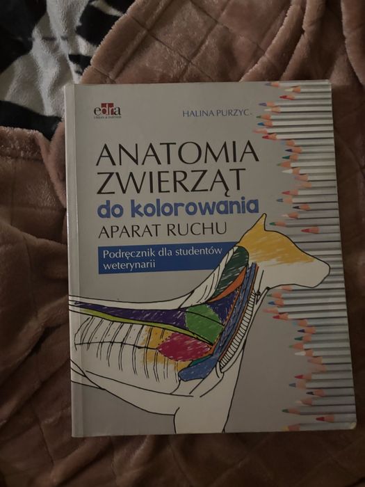 anatomia do kolorowania aparat ruchu