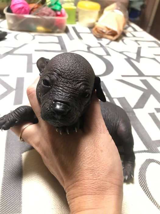 YouTube сайтындағы оргазм туралы порно видео